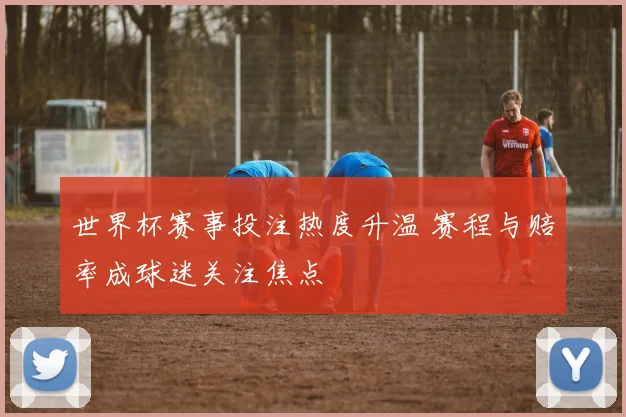 世界杯赛事投注热度升温 赛程与赔率成球迷关注焦点