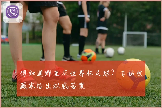想知道哪里买世界杯足球?专访收藏家给出权威答案