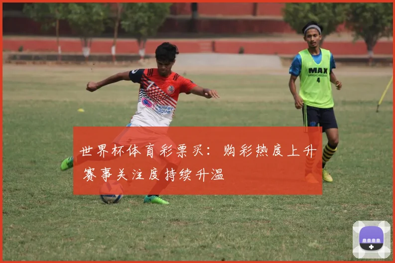 世界杯体育彩票买：购彩热度上升 赛事关注度持续升温